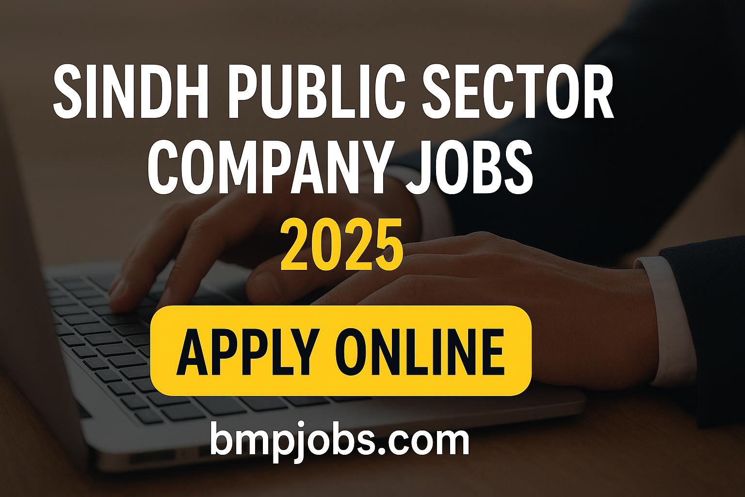 Sindh Public Sector Company Jobs 2025 | Apply Online